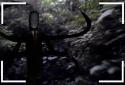 IN YOUR FACE SLENDERMAN screenshot 2