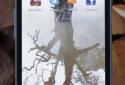 Forest Alive Video Wallpaper + (Видео-обои Лес +) screenshot 5