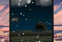 Animated Weather Widget&Clock screenshot 1