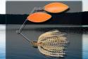 i Fishing Lite screenshot 6