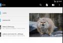 EDS  – encrypt your files to keep your data safe screenshot 6