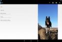 EDS  – encrypt your files to keep your data safe screenshot 9