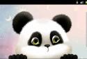 Panda Chub Live Wallpaper Free screenshot 2 Panda Chub Live Wallpaper Free screenshot 2