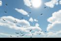 Plane Finder 3D screenshot 9