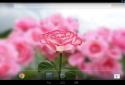 3D Rose Live Wallpaper screenshot 4