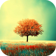 Awesome-Land Live wallpaper HD : Plant a Tree !!