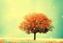 Awesome-Land Live wallpaper HD : Plant a Tree !! screenshot 18