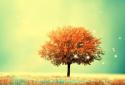 Awesome-Land Live wallpaper HD : Plant a Tree !! screenshot 2
