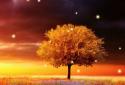 Awesome-Land Live wallpaper HD : Plant a Tree !! screenshot 3