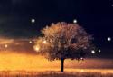 Awesome-Land Live wallpaper HD : Plant a Tree !! screenshot 7