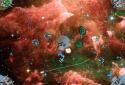 Space Cruiser screenshot 6
