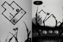 Miseria screenshot 8