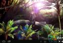 Wise Monkey 3d screenshot 1