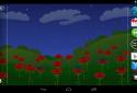 Flower Field Roses HD screenshot 2