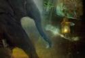 Hidden Object -Kingdom Dreams screenshot 3
