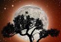 Nature Free HD LWP screenshot 2