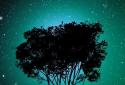 Nature Free HD LWP screenshot 4