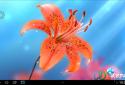 Galaxy S4 Lily screenshot 1