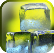 Nexus Summer Ice