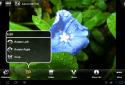 ViewPics Pro screenshot 3