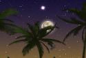 Exotic Nightfall screenshot 4