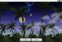 Exotic Nightfall screenshot 5