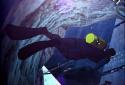 Atlantis 3D Free lwp screenshot 4
