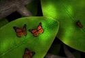 Tap Leaves Live Wallpaper screenshot 1