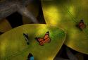 Tap Leaves Live Wallpaper screenshot 3