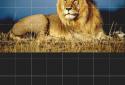 Fhotoroom screenshot 6