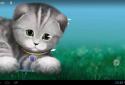 Silvery the Kitten HD screenshot 12 Silvery the Kitten HD screenshot 12
