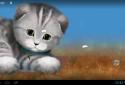 Silvery the Kitten HD screenshot 13 Silvery the Kitten HD screenshot 13
