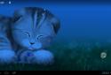 Silvery the Kitten HD screenshot 4 Silvery the Kitten HD screenshot 4