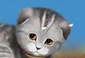 Silvery the Kitten HD screenshot 5 Silvery the Kitten HD screenshot 5