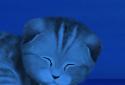 Silvery the Kitten HD screenshot 6 Silvery the Kitten HD screenshot 6