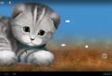 Silvery the Kitten HD screenshot 8 Silvery the Kitten HD screenshot 8