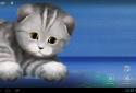 Silvery the Kitten HD screenshot 9 Silvery the Kitten HD screenshot 9