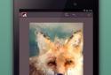 Repix screenshot 8
