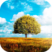 Awesome-Land 2 live wallpaper : Plant a Tree !!
