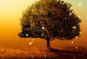 Awesome-Land 2 live wallpaper : Plant a Tree !! screenshot 3