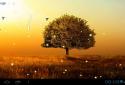 Awesome-Land 2 live wallpaper : Plant a Tree !! screenshot 6