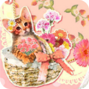 Pinky world of cats