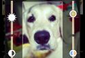 FiveWallpapers screenshot 2