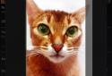 FiveWallpapers screenshot 7