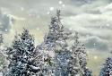 Snowfall Live Wallpaper screenshot 1