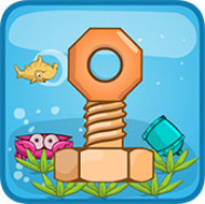 Screw Puzzle