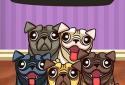 Puzzle Pug - Chien Mignon screenshot 4