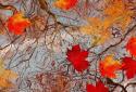 Autumn Maple Live Wallpaper screenshot 1
