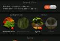 Zen Garden -Fall- LW screenshot 15