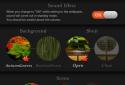 Zen Garden -Fall- LW screenshot 23